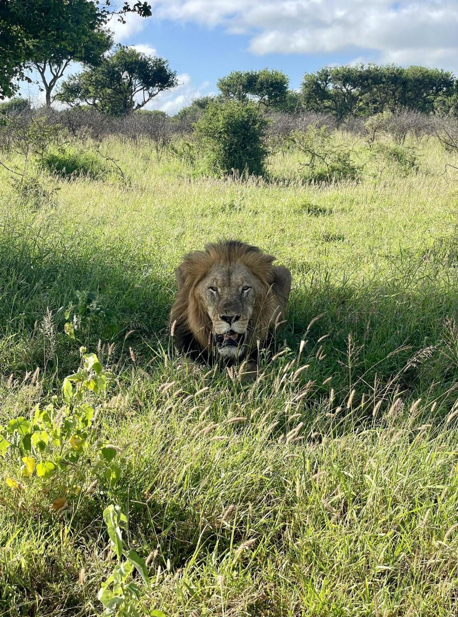 Rhino River Lodge Manyoni Private Game Reserve Exteriér fotografie
